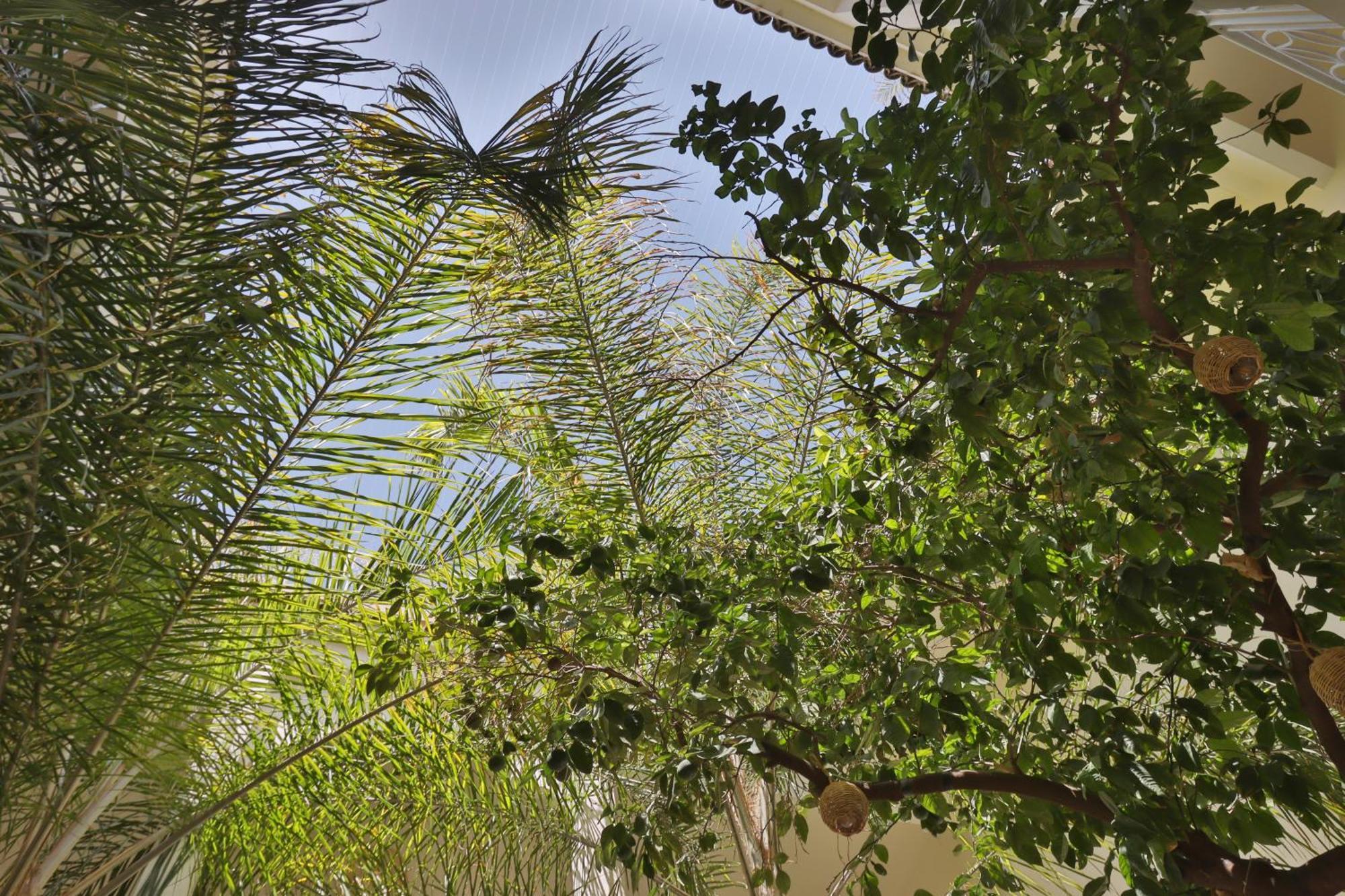 Riad Naanaa Bed & Breakfast Marrakesh Eksteriør billede
