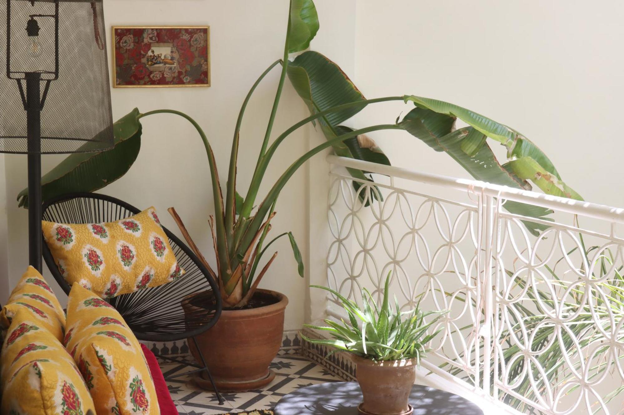 Riad Naanaa Bed & Breakfast Marrakesh Eksteriør billede